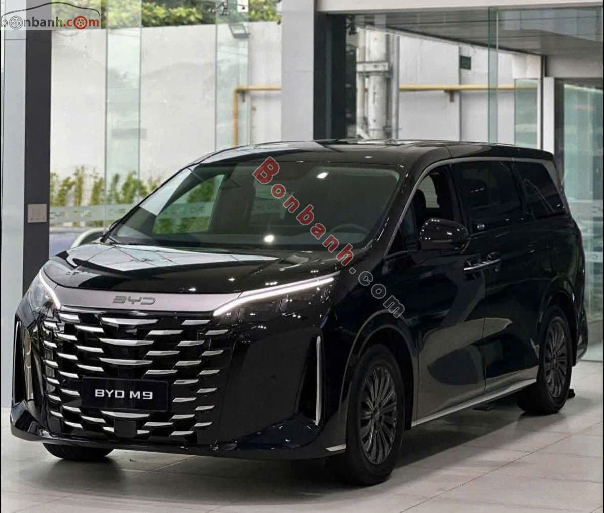 2026 BYD M9 Premium
