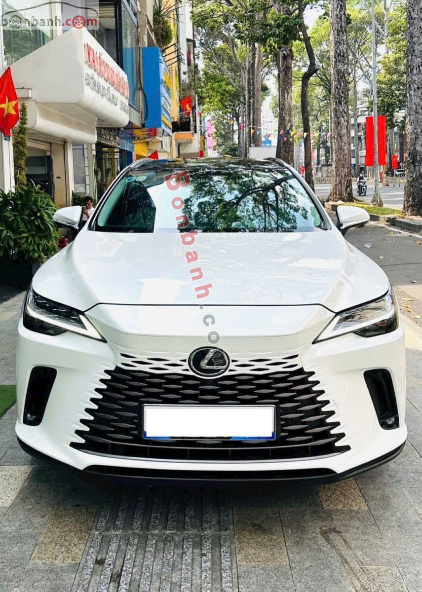 2022 Lexus RX 350 Luxury