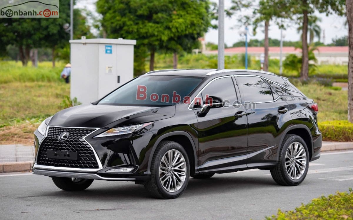 2019 Lexus RX 300