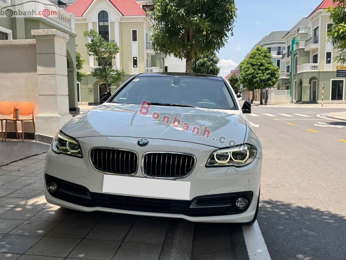 2015 BMW 5 Series 520i