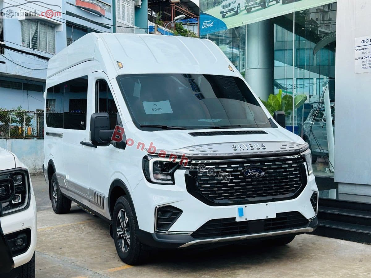 2025 Ford Transit Limousine 12S