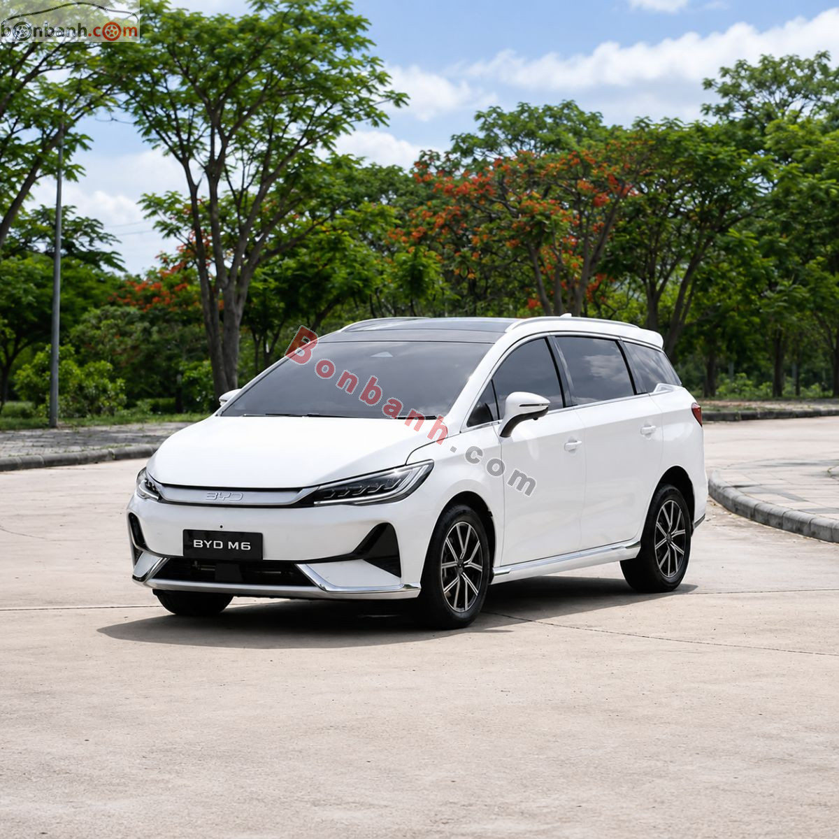 2026 BYD M6 Standard