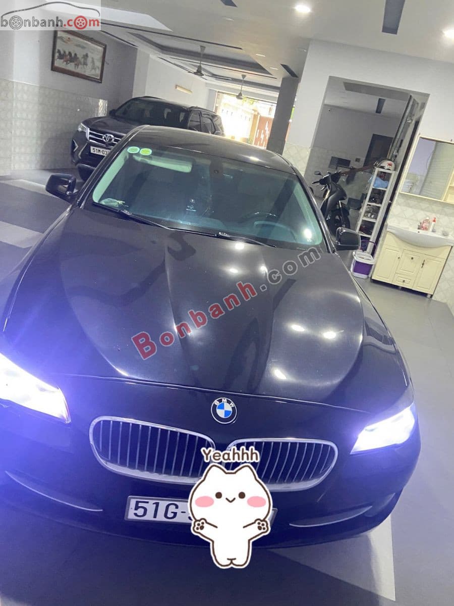 2011 BMW 5 Series 528i - ảnh nhỏ 2
